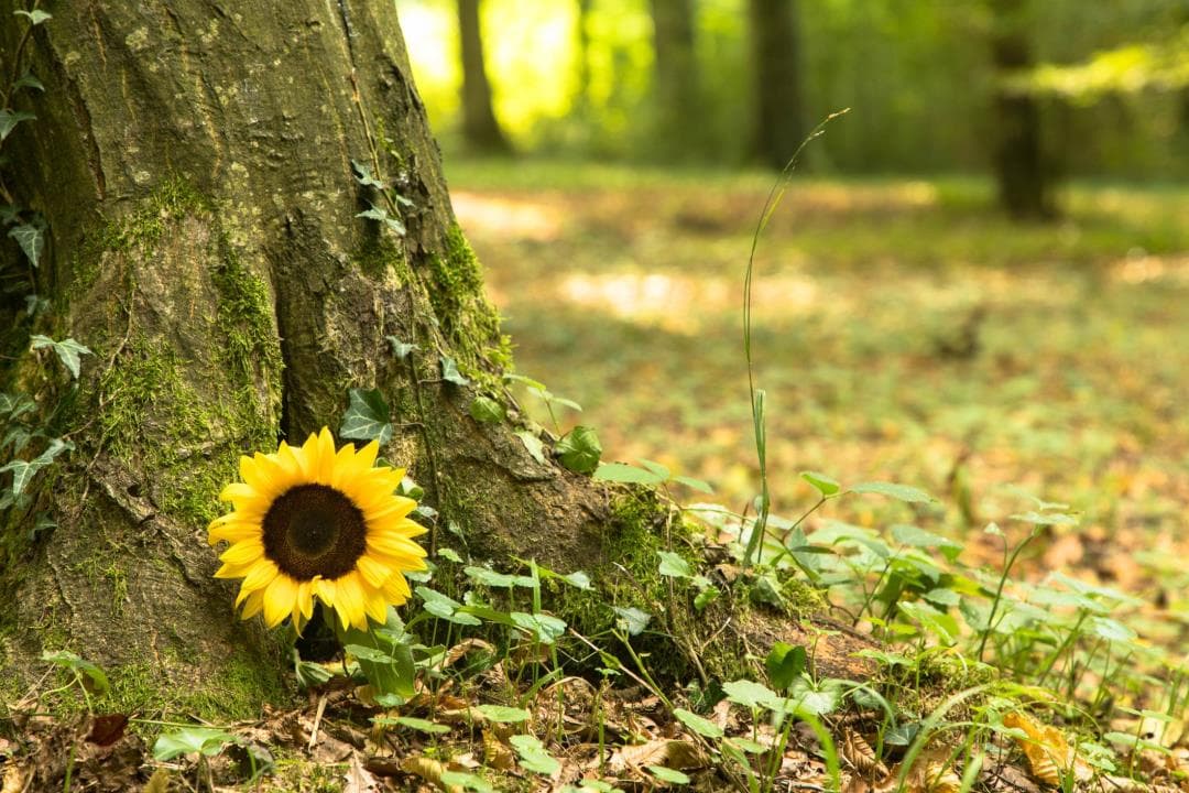 One Man's Quest to Bring 'Goodness' Back to Burials